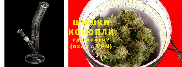 ГАЛЛЮЦИНОГЕННЫЕ ГРИБЫ Навашино