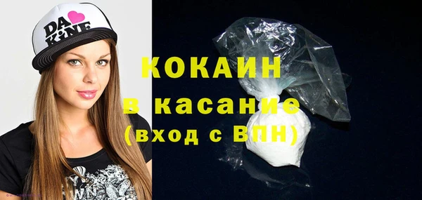 прущие грибы Наволоки