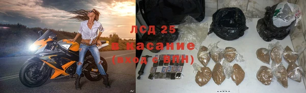 ГАЛЛЮЦИНОГЕННЫЕ ГРИБЫ Навашино