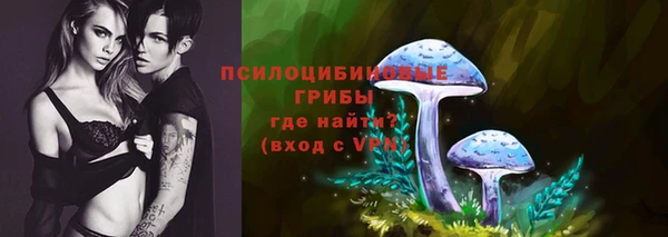 ГАЛЛЮЦИНОГЕННЫЕ ГРИБЫ Навашино