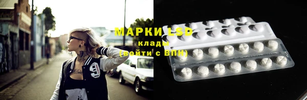 прущие грибы Наволоки