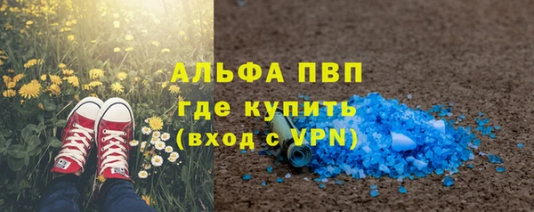 прущие грибы Наволоки