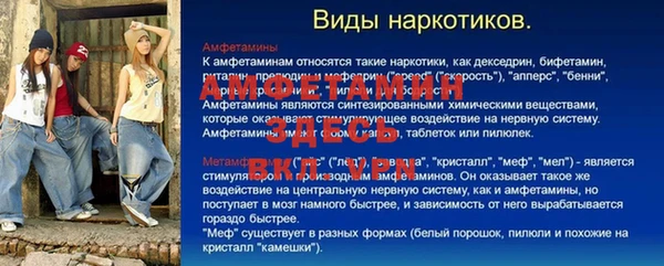 прущие грибы Наволоки