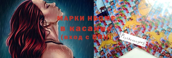 прущие грибы Наволоки