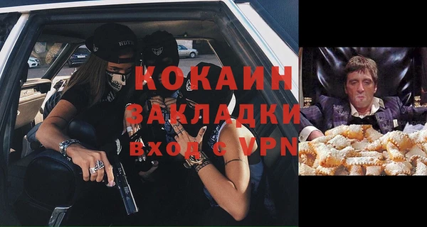 прущие грибы Наволоки