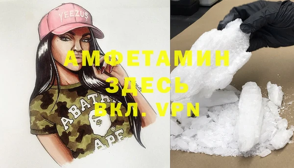 прущие грибы Наволоки