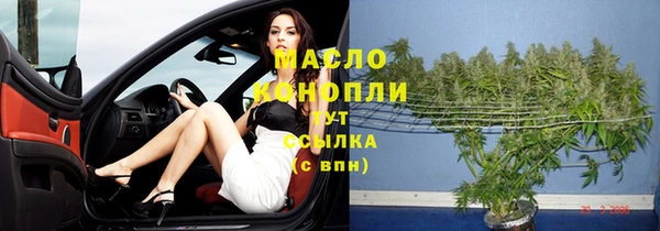 прущие грибы Наволоки